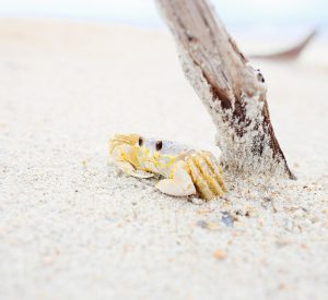 Crédit photo Unsplash_seth-doyle-PDtK325dx3k